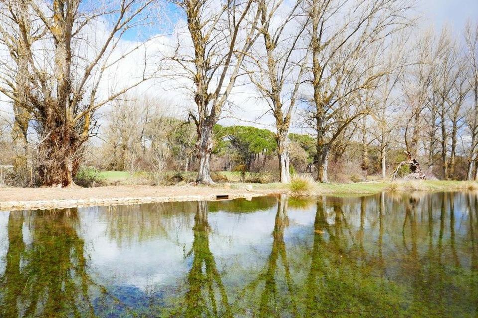 El Perfume Del Almendro Guest House Quintanilla del Agua Bagian luar foto